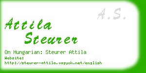 attila steurer business card